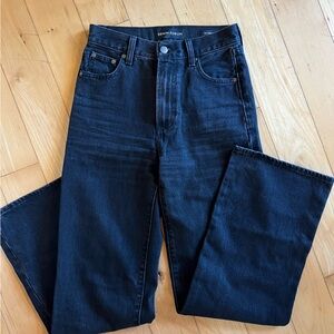 Aritzia Denim Forum Dark Wash Jeans
